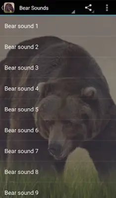 Bear Sounds android App screenshot 0